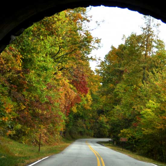 Appalachian trail view